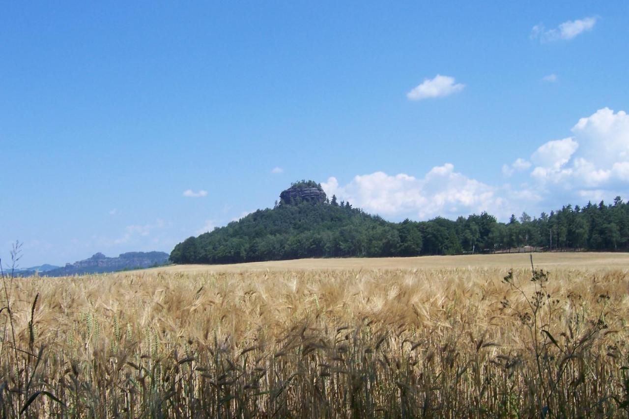 Gasthaus & Pension Zirkelstein Schöna Kültér fotó